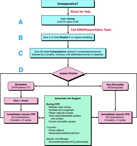 Full Download Current Cpr Guidelines 2012 American Heart Association 