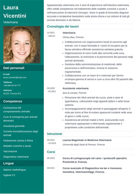 Curriculum Vitae E Cf