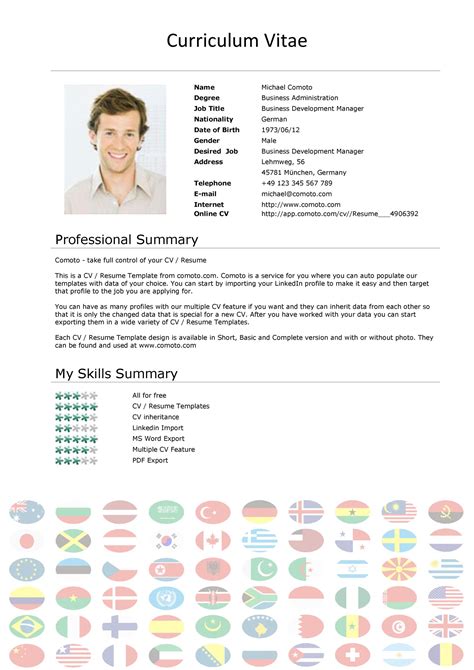curriculum vitae english sample