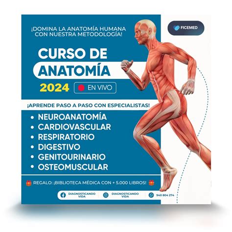 curso de anatomia aplicada a los abordajes transo