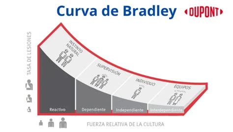 Curva De Bradley