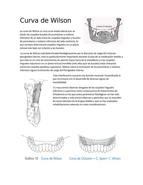 Curva De Wilson