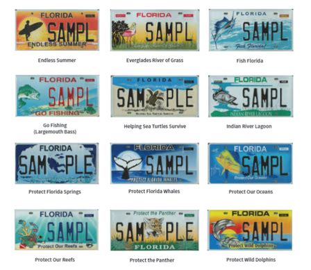 custom florida plates