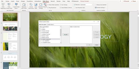 custom show presentation