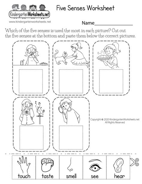 Cut And Paste Five Senses Worksheet Free Printable The Senses Worksheet - The Senses Worksheet