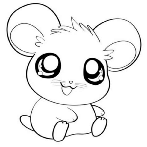 Cute Coloring Pages Animals   Cute Animal Coloring Book Pages For Kids Paperback - Cute Coloring Pages Animals