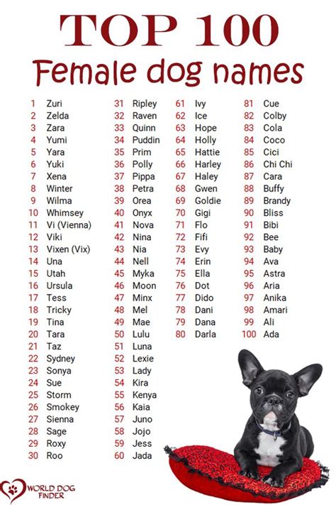 cute girl dog names spanish