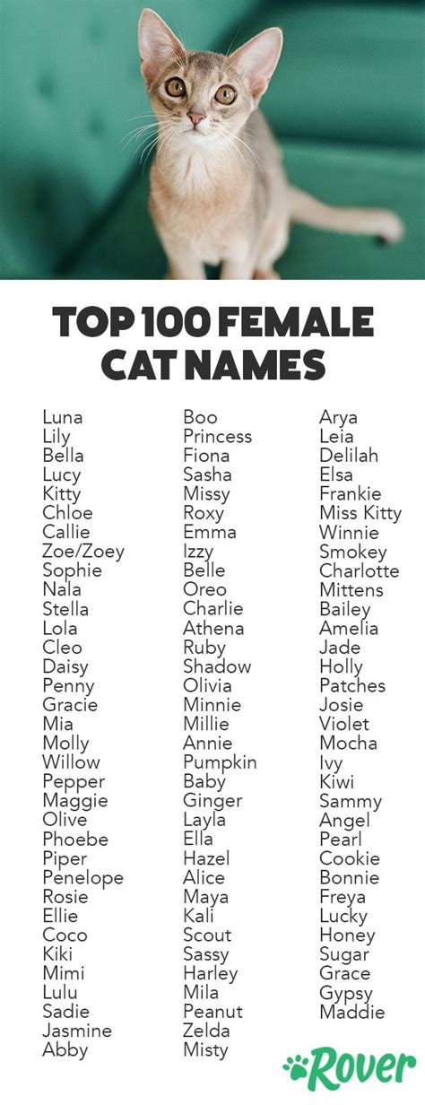 cute girl kitten names 2024