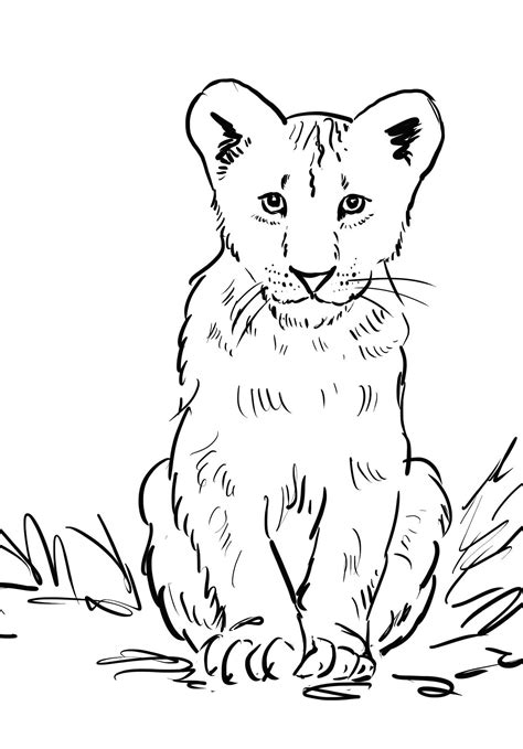 Cute Lion Cub Coloring Page Free Printable Coloring Lion Cub Coloring Pages - Lion Cub Coloring Pages
