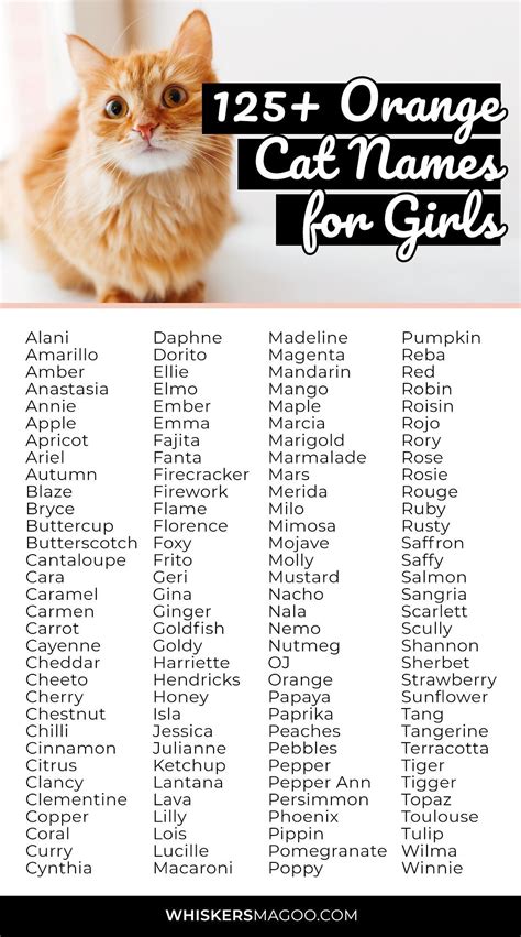 cute orange cat names girl