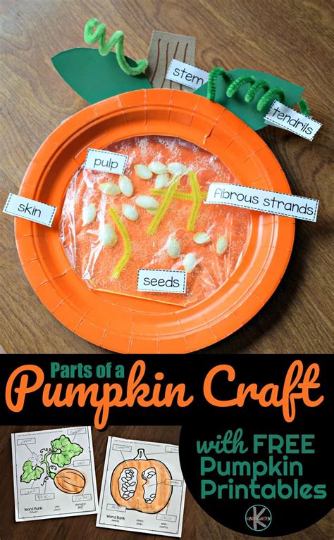 Cute Parts Of A Pumpkin Craft Amp Free Label Pumpkin Parts Kindergarten Worksheet - Label Pumpkin Parts Kindergarten Worksheet