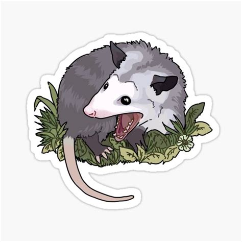 cute possum drawing easy wallpapergirlwithgun