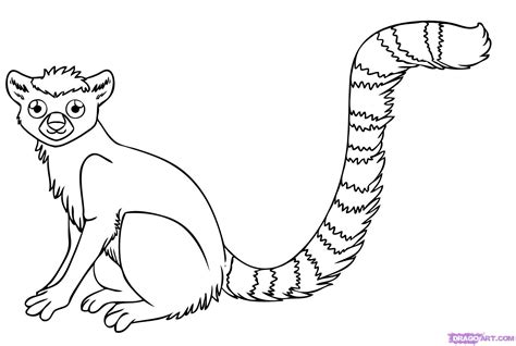 Cute Ring Tailed Lemur Coloring Page Ring Tailed Lemur Coloring Page - Ring Tailed Lemur Coloring Page
