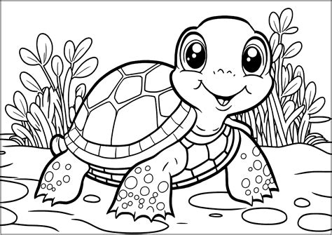 Cute Turtle Coloring Page Cute Turtle Drawing Color - Cute Turtle Drawing Color