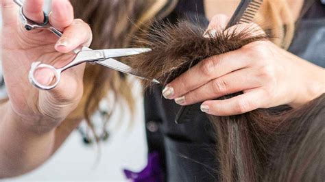 Read Online Cutting Styling Guide 
