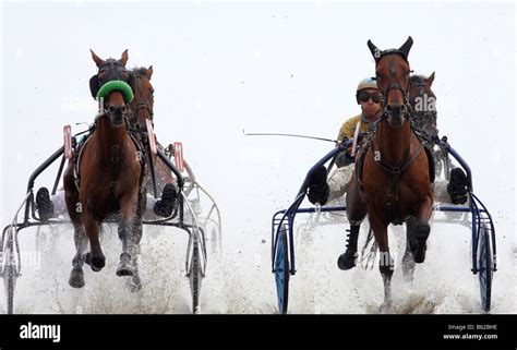 blackjack online: Apostando nas Melhores Apostas Desportivas Online com a Garantia de Segurança dos Fundos - Foto 2