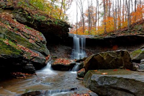 cvnp ohio