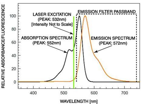 Cy3 Wavelength