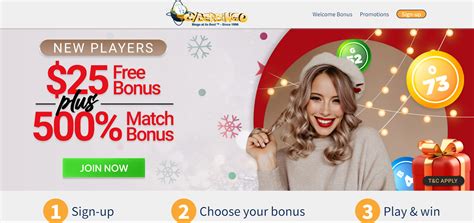 cyber bingo casino fgoo switzerland