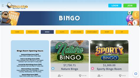 cyber bingo casino hhwz