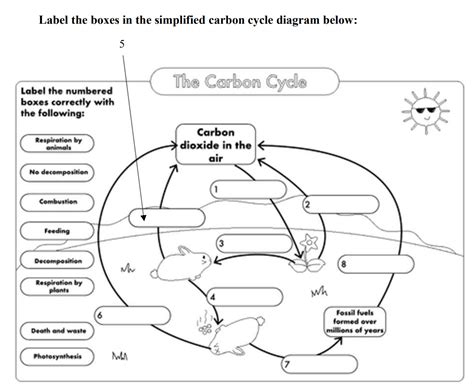 Cycles Worksheet Carbon Cycle Answers   Climate Change And The Carbon Cycle Noaa Climate - Cycles Worksheet Carbon Cycle Answers