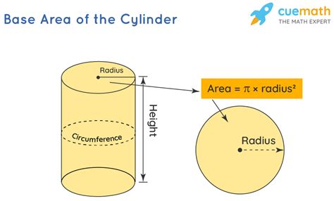 Cylinder In Math Definition Formula Area Volume Examples Attributes Of A Cylinder - Attributes Of A Cylinder