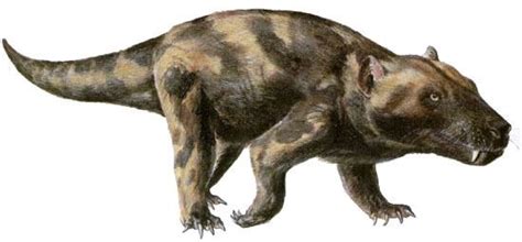 Cynognathus