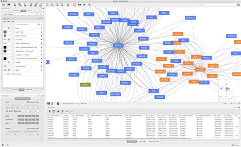 Cytoscape Js