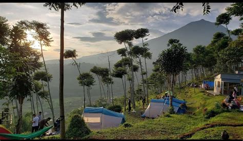 d'bunder view | Synthesis of SiO 2 gC 3 N