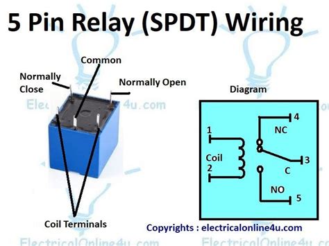 d) The relay and, as a re