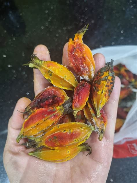 dành | ginh hay dnh dnh cho hay ginh