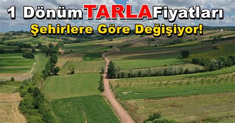 dönüm tarla kaç tl eder 2019 İzle şimdi : 10+ 1 dönüm tarla kaç tl eder 2021 en iyiSatılık Arsa, Tarla, Arazi : gebze köylerinde satılık arsa Çok kâr lı yatırım arsa al çok kazan konya aselsan yanı satk 8.