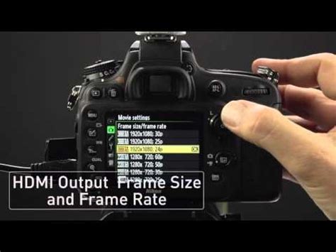 Read Online D610 Setup Guide Cvpi 