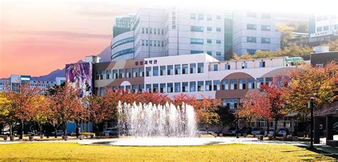 daegu university