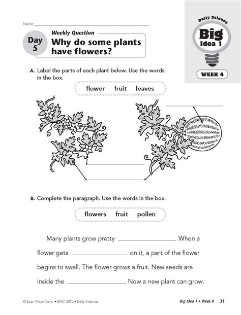 Daily Science Practice Grade 2 Evan Moor Astickore