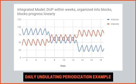 Daily Undulating Periodization