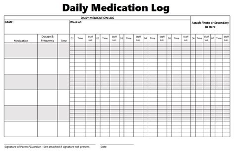 Download Daily Medication Log Template 