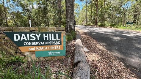 Daisy Hill Park