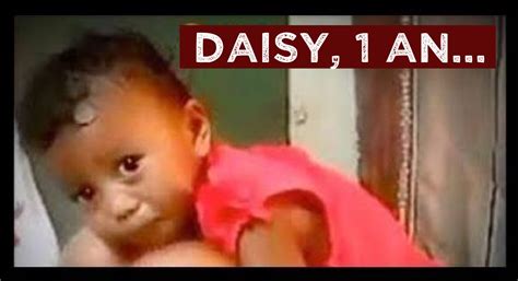 Daisy Of Destruction