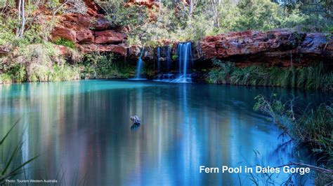 Dales Gorge Campground