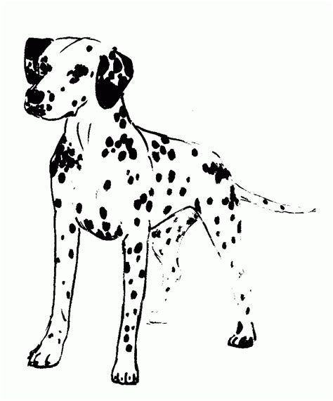 Dalmatian Dog Coloring Page   Walking Dalmatian Dog Free Online Coloring Page - Dalmatian Dog Coloring Page
