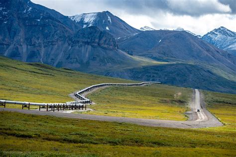 dalton alaska