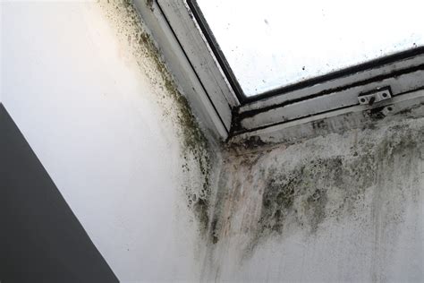 damp spot