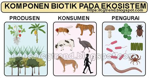 Dampak Komponen Biotik