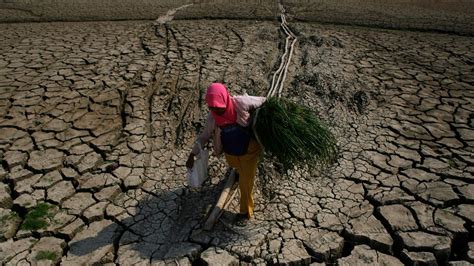 dampak pemanasan global di indonesia