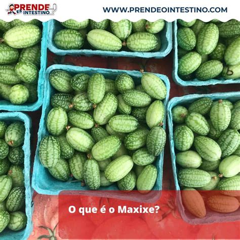 Dança Do Maxixe