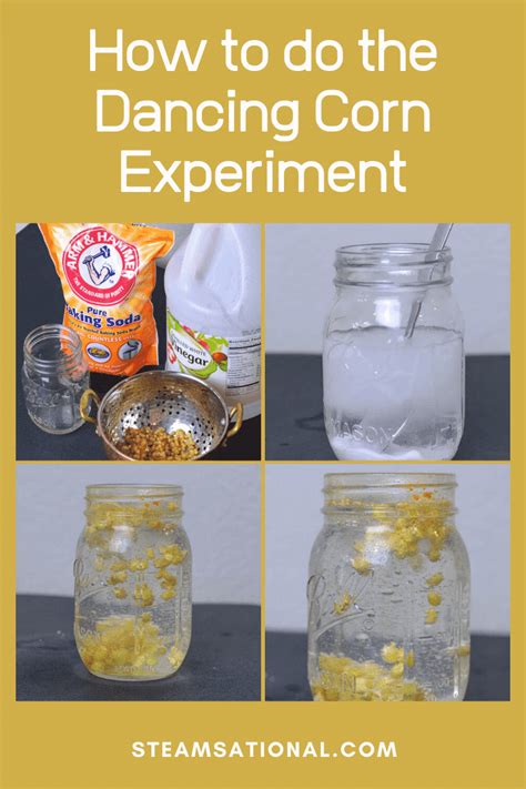 Dancing Corn Experiment The Best Ideas For Kids Dance Science Experiments - Dance Science Experiments
