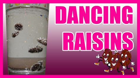 Dancing Raisins In Jk Children 039 S Garden Dancing Raisins Worksheet - Dancing Raisins Worksheet