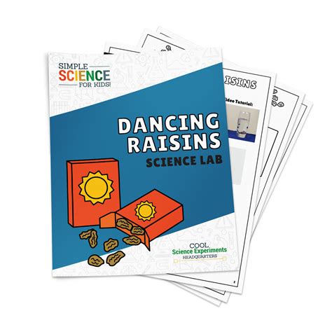 Dancing Raisins Science Lab Kit Cool Science Experiments Dancing Raisins Worksheet - Dancing Raisins Worksheet