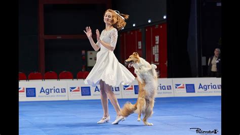 Dancing With Dogs